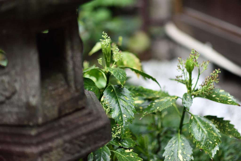 Rakusuian Otel Kyoto Dış mekan fotoğraf